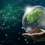 Antônio Fernando Ribeiro Pereira explica como o ecossistema de tecnologia impulsiona a inovação e transforma o mercado digital.