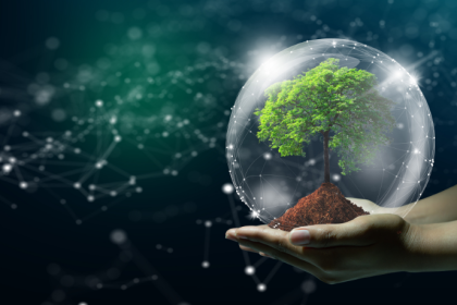 Antônio Fernando Ribeiro Pereira explica como o ecossistema de tecnologia impulsiona a inovação e transforma o mercado digital.
