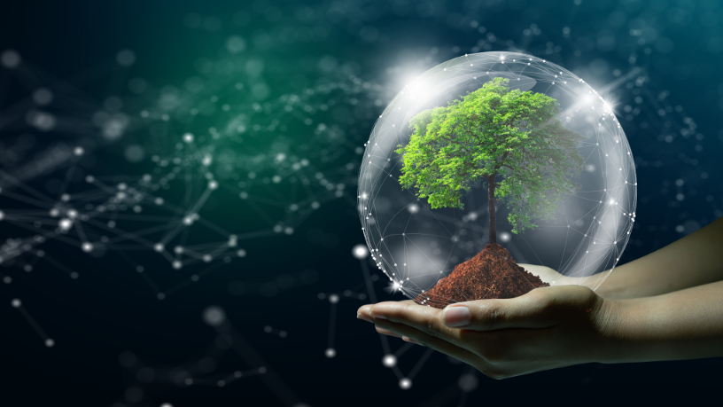 Antônio Fernando Ribeiro Pereira explica como o ecossistema de tecnologia impulsiona a inovação e transforma o mercado digital.