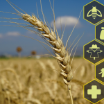 João Eustáquio De Almeida Junior analisa como é possível equilibrar produtividade e responsabilidade ambiental sem comprometer resultados.