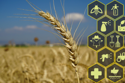 João Eustáquio De Almeida Junior analisa como é possível equilibrar produtividade e responsabilidade ambiental sem comprometer resultados.