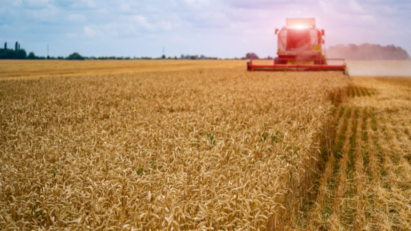 Neste artigo, João Eustáquio De Almeida Junior mostra caminhos práticos para conciliar eficiência produtiva e compromisso ambiental.