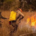 Bombeiros combatem incêndio em área de vegetação seca em Mato Grosso.