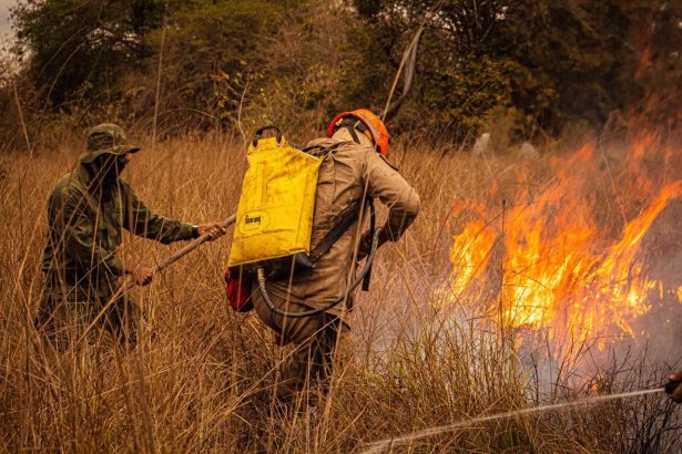 Bombeiros combatem incêndio em área de vegetação seca em Mato Grosso.