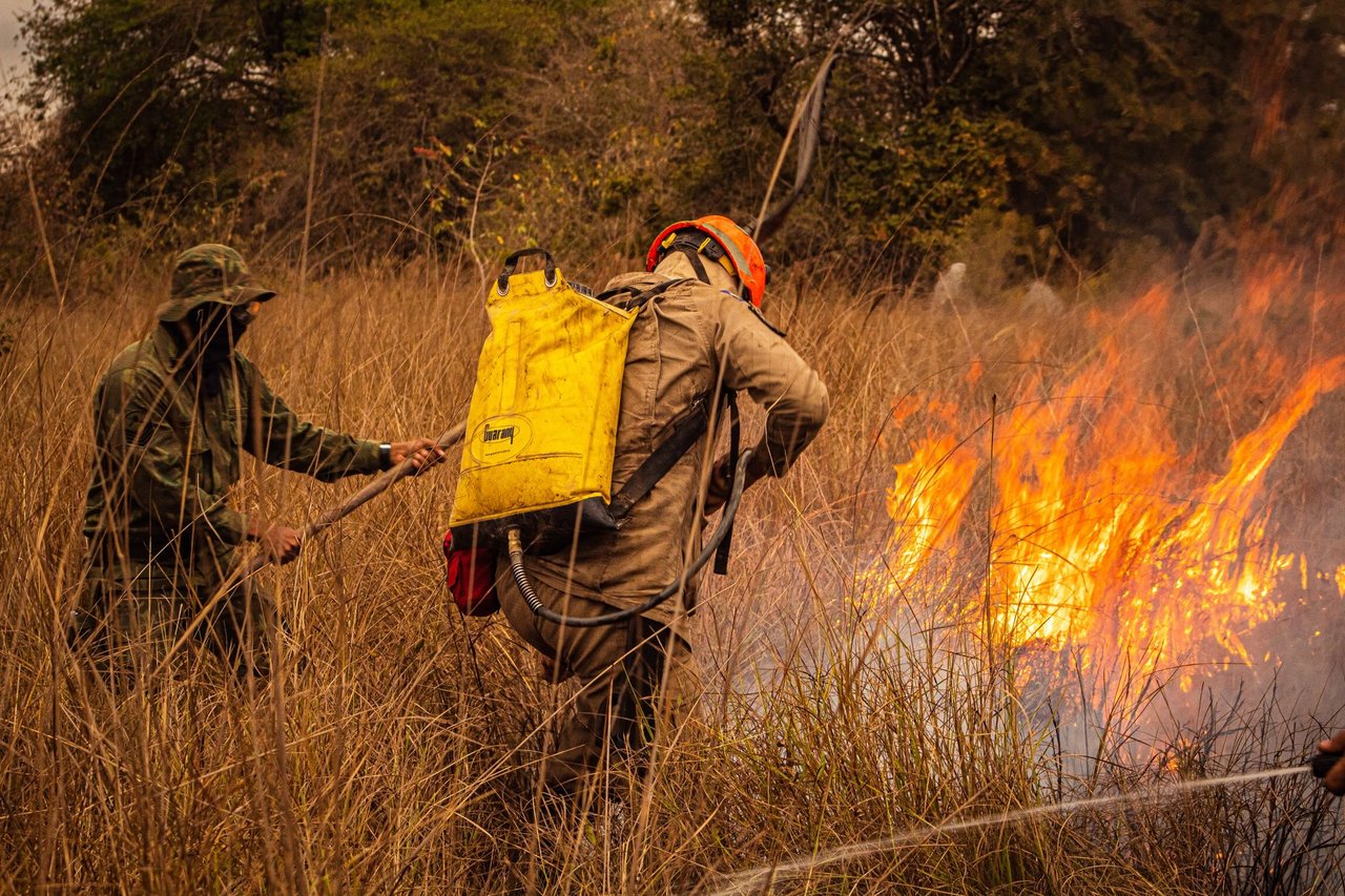 Bombeiros combatem incêndio em área de vegetação seca em Mato Grosso.