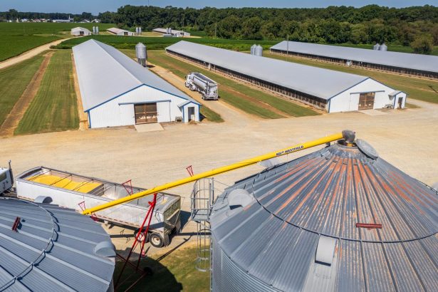 Vista aérea de uma grande instalação agrícola com silos, armazéns e caminhões.