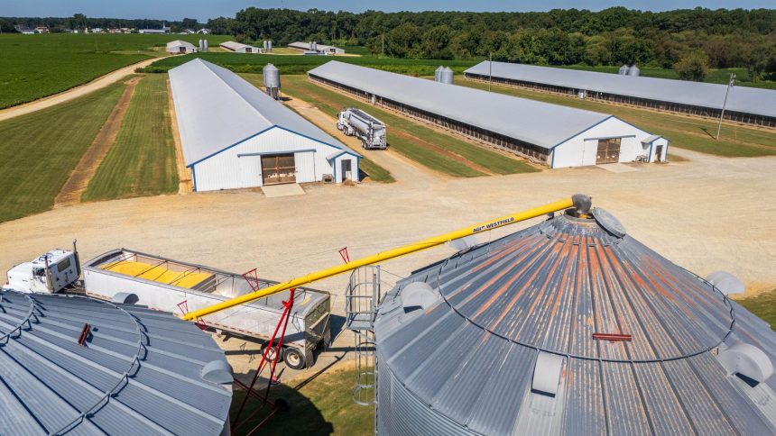 Vista aérea de uma grande instalação agrícola com silos, armazéns e caminhões.